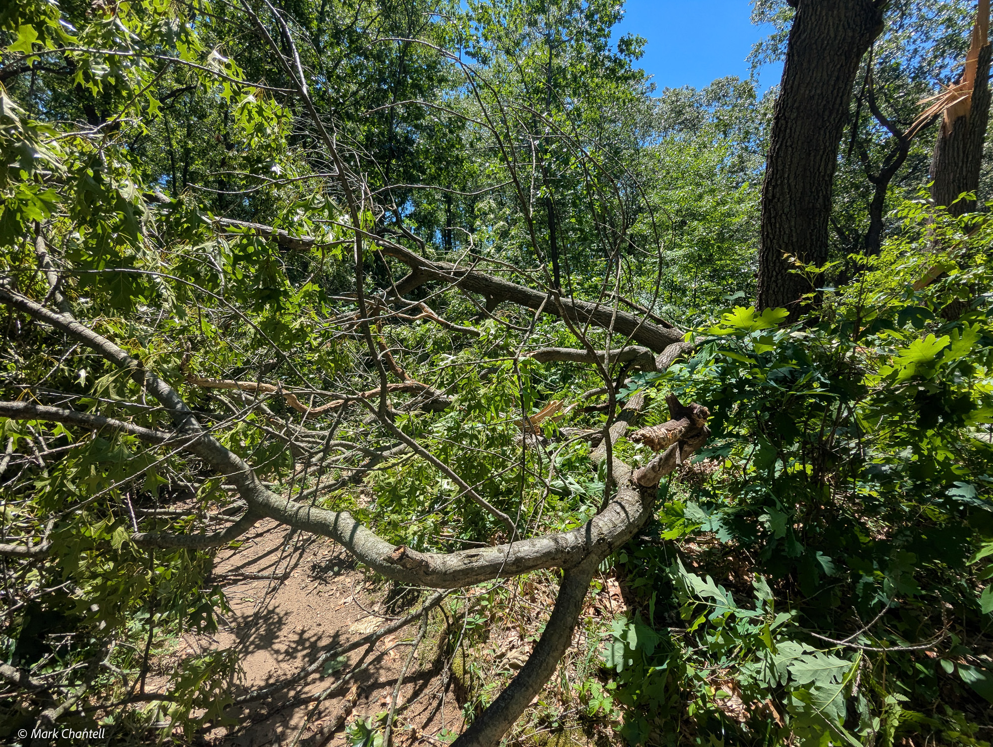 After The Storm