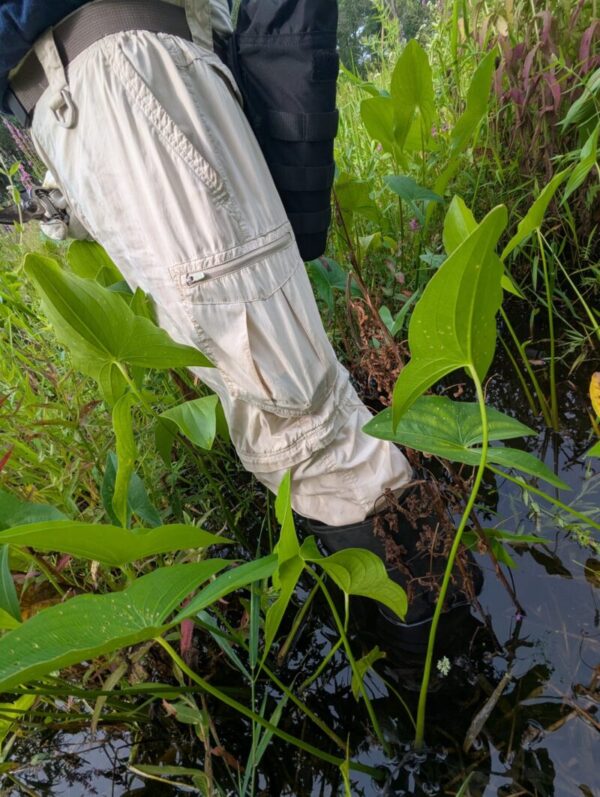 Working In A Wetland